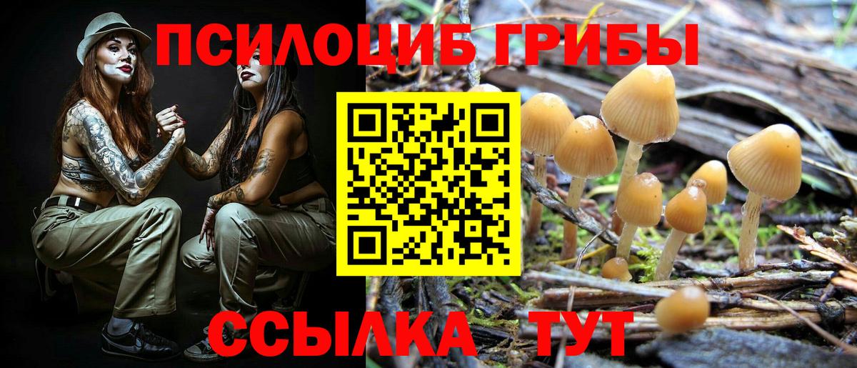 Псилоцибиновые грибы прущие грибы  Псилоцибиновые грибы GOLDEN TEACHER  Ачинск  Вход с VPN 