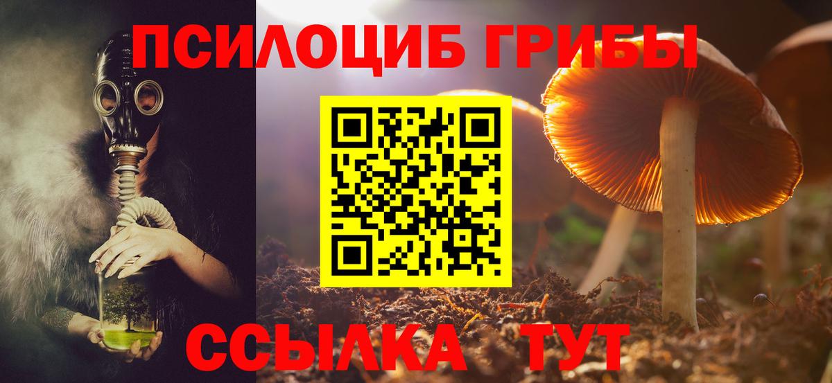 Псилоцибиновые грибы Cubensis Ачинск